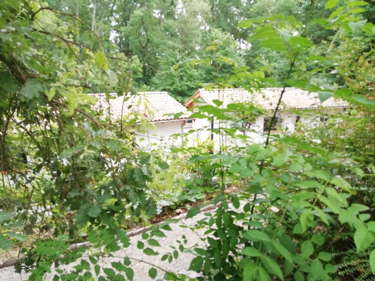 Pause Nature. Maison Ananda A 14 Kms De Toulouse Avec Parking Privatif Lapeyrouse-Fossat Esterno foto